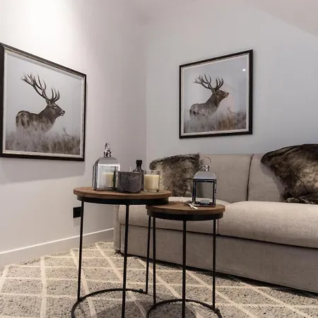 De Tilia - Prestige 8/10 Pers. Proche Pistes Mae-9931 *